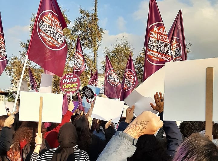 Turkish Women: Violence and Resistance